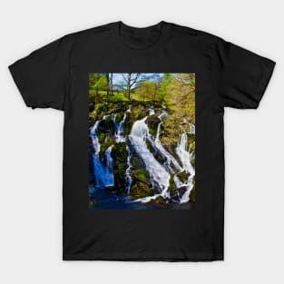 SWALLOW BEFORE YOU CANOE THE FALLS T-Shirt